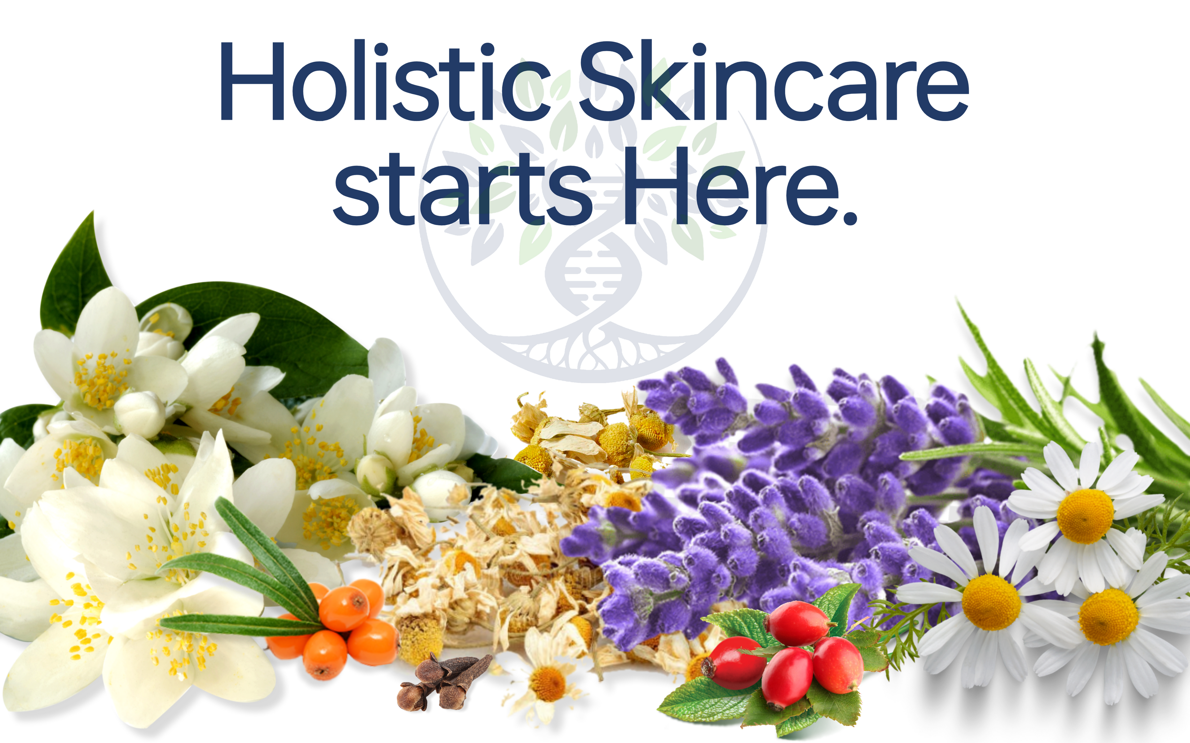 AzulBotanicals Mobile Cart