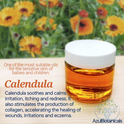 topical Calendula Oil AzulBotanicals