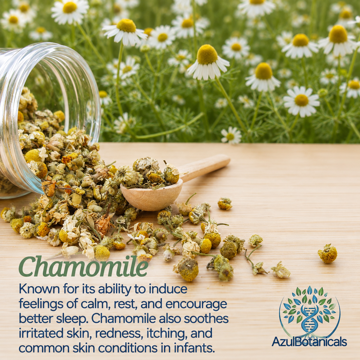chamomile extract organic, soothing in baby tallow balm