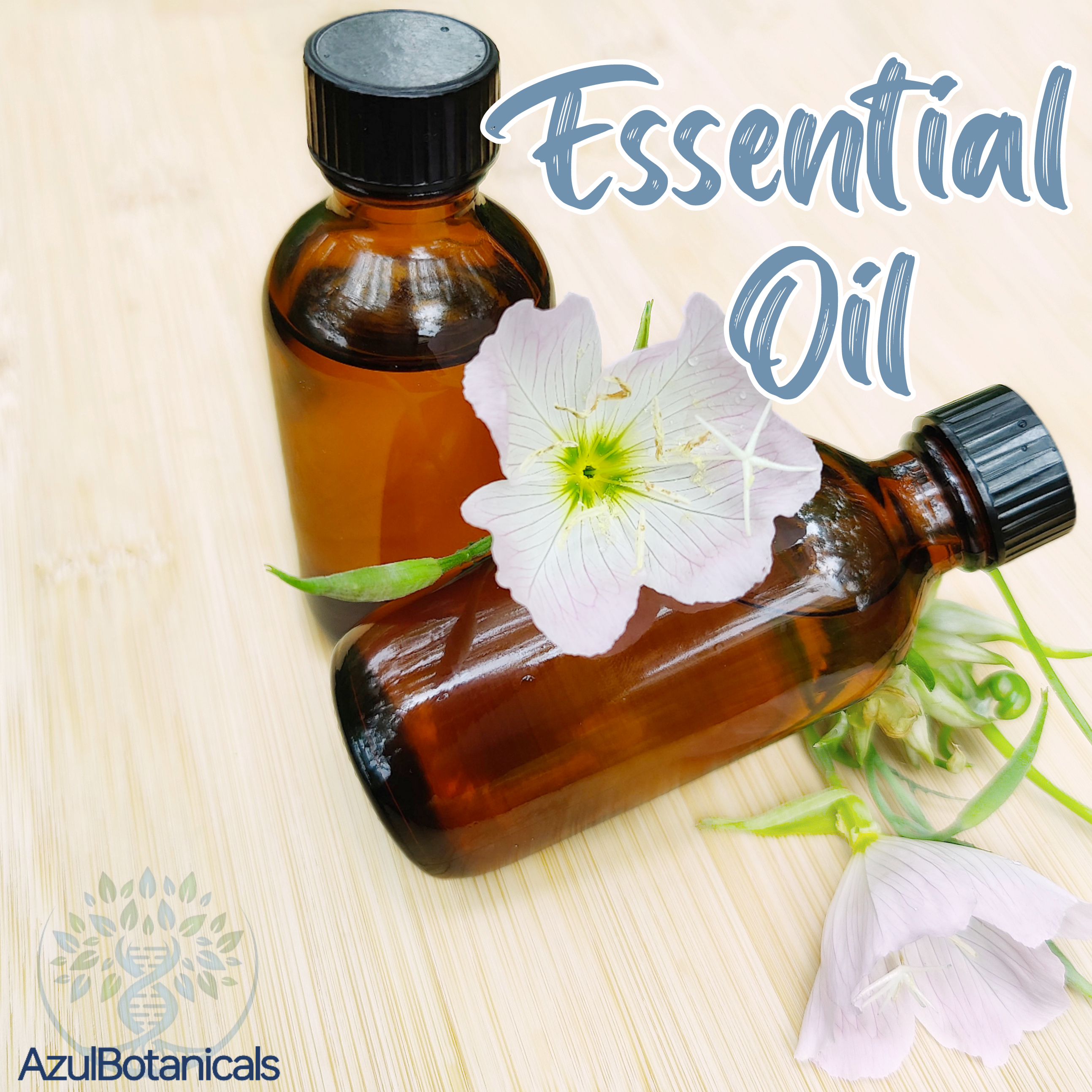 essential oils aromatherapy natural scents